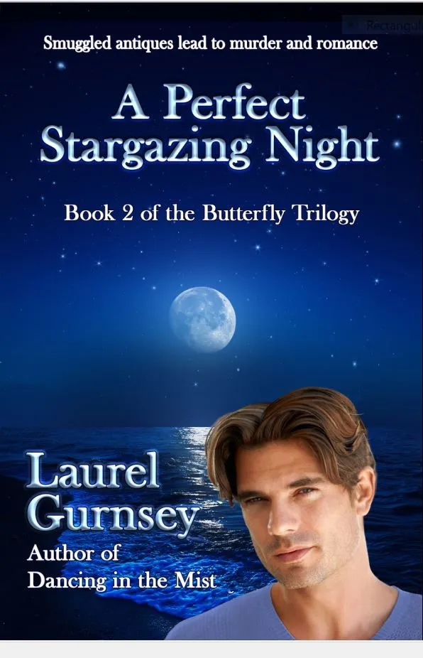 A Perfect Stargazing Night