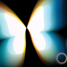abstract illustration of a butterfly