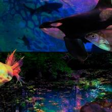 painting of various sea creatures, including a killer whale