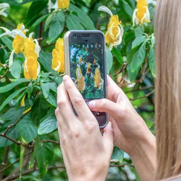 Woman with iPhone Woman with iPhone