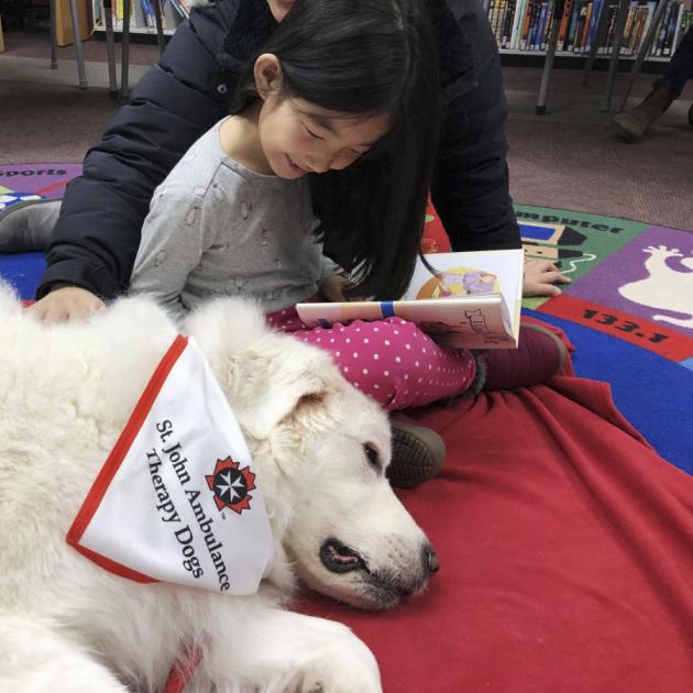 Paws for stories Image of a therapy dog helping a child read aloud