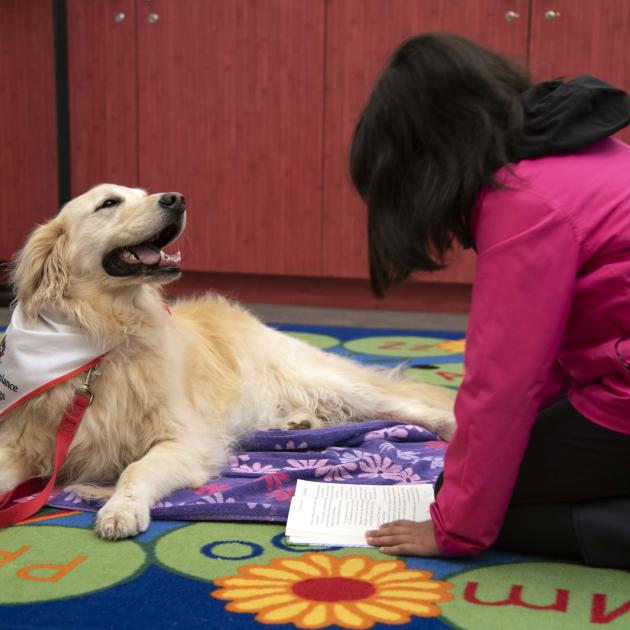 Child reading with therapy dog during Paws for stories program
