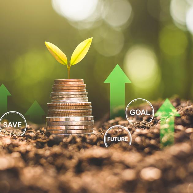 Finances, budgets and saving Pile of coins growing from earth with seedling symbolizing financial planning