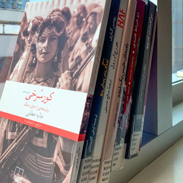 a row of Persian language books with one cover facing out including a woman wearing decorative garb