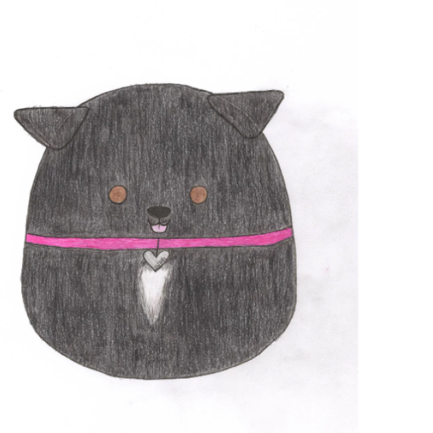 Squishmallow Squishmallow