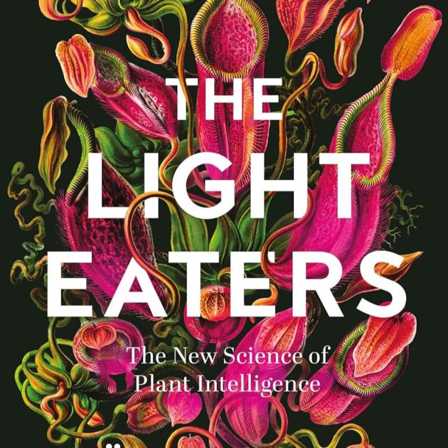 The Light Eaters Brightly coloured flowers blooming upwards, behind the words The Light Eaters