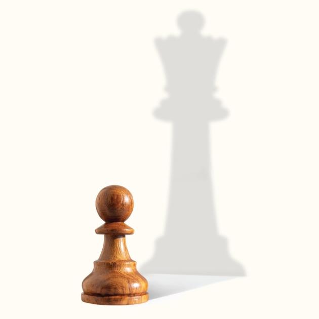 The Certainty Illusion The shadow of a queen chess piece behind a pawn
