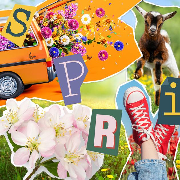 Colourful collage of magazine images with a spring theme