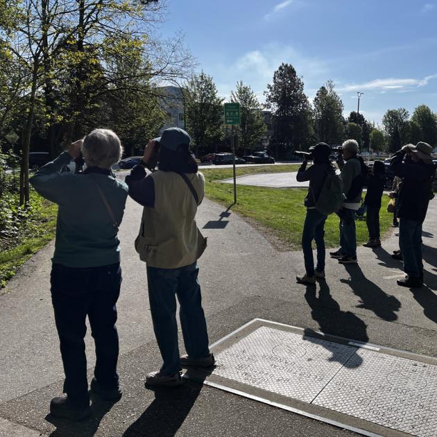 Birding for beginners
