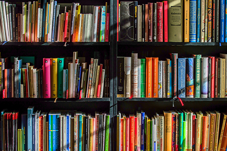 photograph of a full bookshelf 