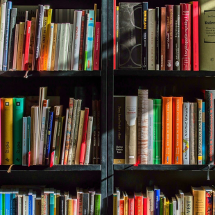 A colourful bookshelf